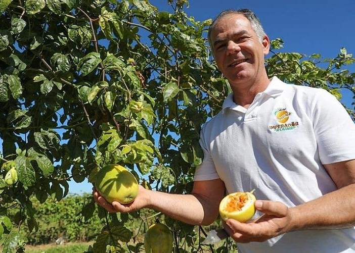 Dia de Campo em Brasília foca em novas técnicas para maracujá silvestre