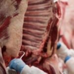 Noruega ameaça suspender compra de carne em alerta ambiental