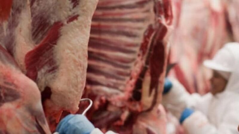 Noruega ameaça suspender compra de carne em alerta ambiental
