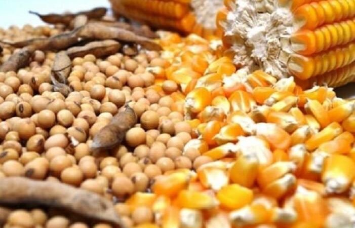O Tocantins conquista o posto de Estado com o Superávit Recorde de 1,7 Bilhão de Dólares Estadunidenses no Primeiro Semestre