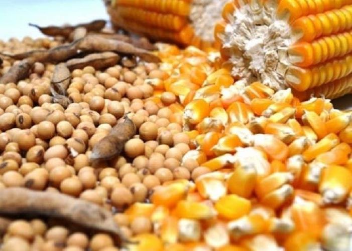 O Tocantins conquista o posto de Estado com o Superávit Recorde de 1,7 Bilhão de Dólares Estadunidenses no Primeiro Semestre