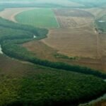 Obras clandestinas no Jardim Botânico ameaçam destruir sítio arqueológico ancestral Obras clandestinas no Jardim Botânico ameaçam destruir sítio arqueológico ancestral
