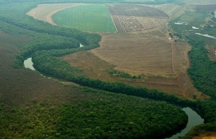 Obras clandestinas no Jardim Botânico ameaçam destruir sítio arqueológico ancestral
