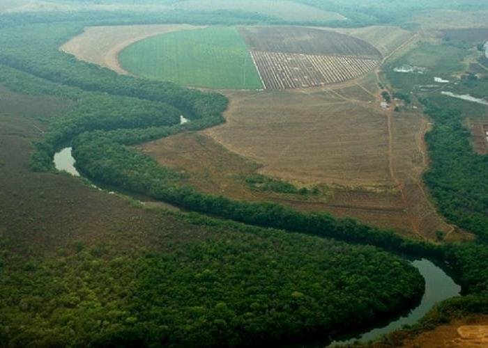 Obras clandestinas no Jardim Botânico ameaçam destruir sítio arqueológico ancestral
