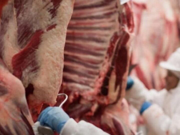 Rússia acelera importação e atinge maior patamar de compra de carne brasileira em dez anos