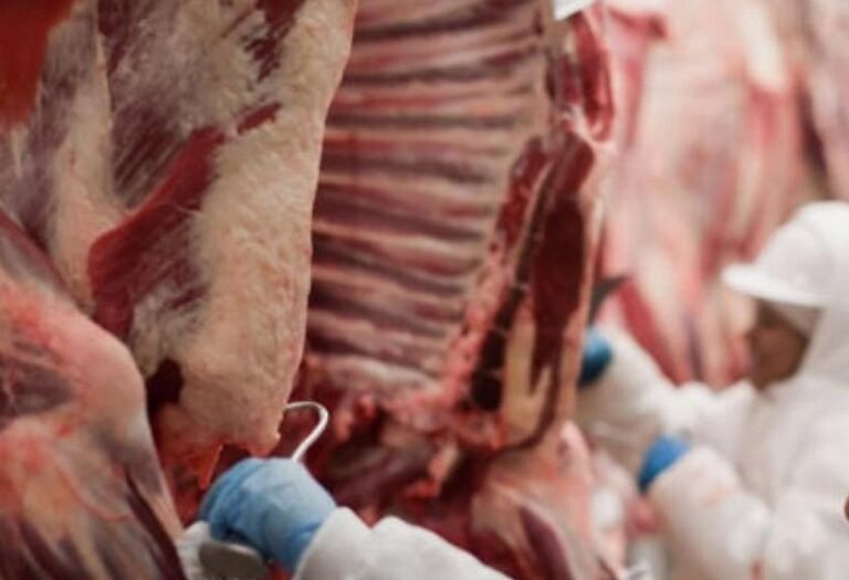 Rússia acelera importação e atinge maior patamar de compra de carne brasileira em dez anos