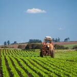 Safra recorde de grãos no Brasil projeta colheita de 353 milhões de toneladas em 2026