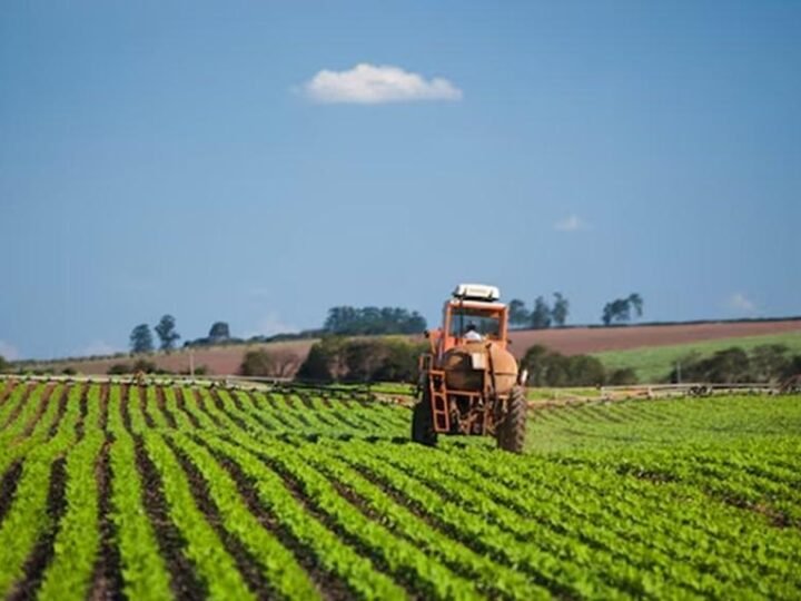 Safra recorde de grãos no Brasil projeta colheita de 353 milhões de toneladas em 2026