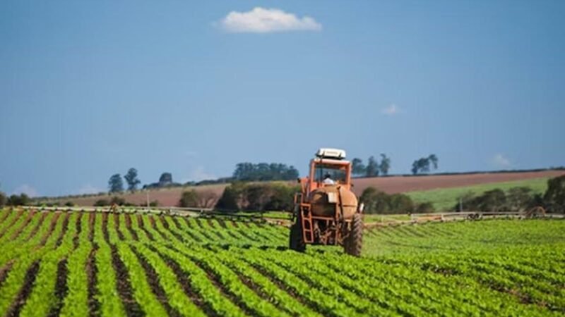 Safra recorde de grãos no Brasil projeta colheita de 353 milhões de toneladas em 2026