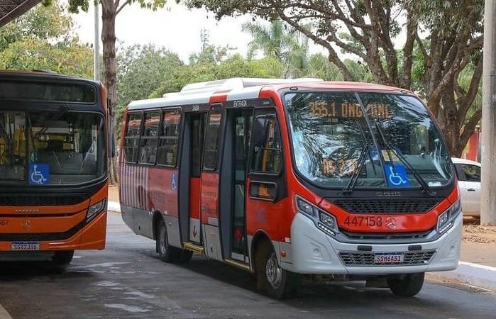 Zebrinhas em Trânsito: Quatro Regiões Recebem Novo Serviço de Transporte