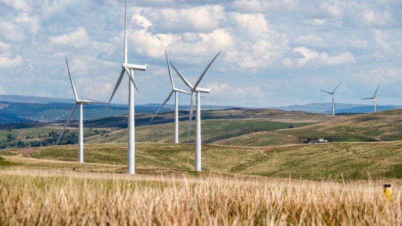 Aeris Energy reativa linhas e melhora resultados com 2 GW em carteira