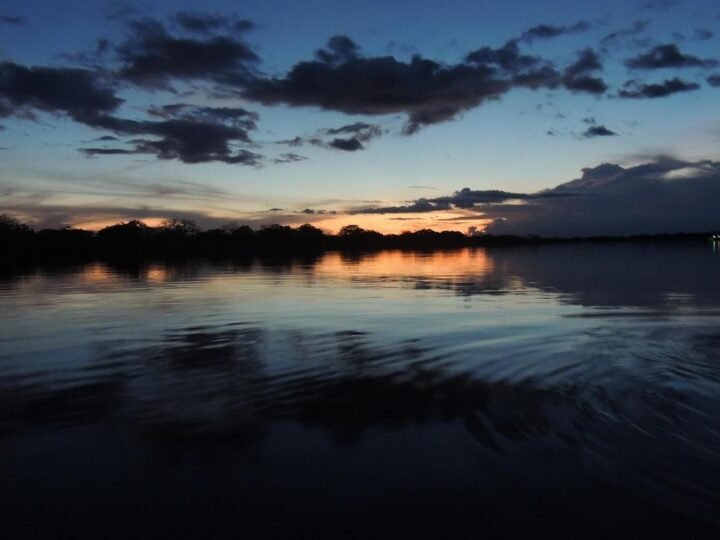 Bioeconomia transforma Amazônia em ativo econômico para desenvolver o Brasil