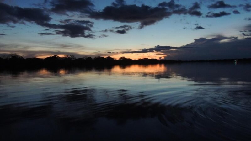 Bioeconomia transforma Amazônia em ativo econômico para desenvolver o Brasil