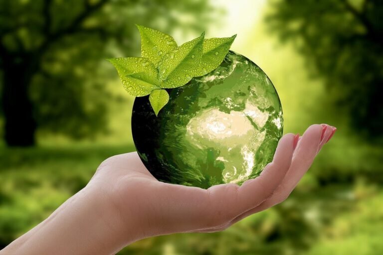 Brasil busca produtos sustentáveis do Mercosul para acesso prioritário à União Europeia