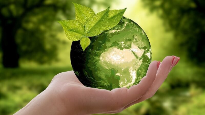 Brasil busca produtos sustentáveis do Mercosul para acesso prioritário à União Europeia