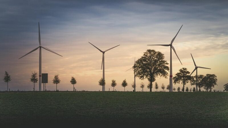 CNPE vota plano de transição energética e novas diretrizes para gás em setembro