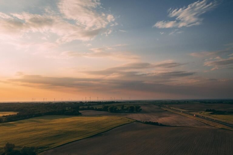 Coalizão cobra mais transparência em dados ambientais para evitar riscos financeiros e climáticos