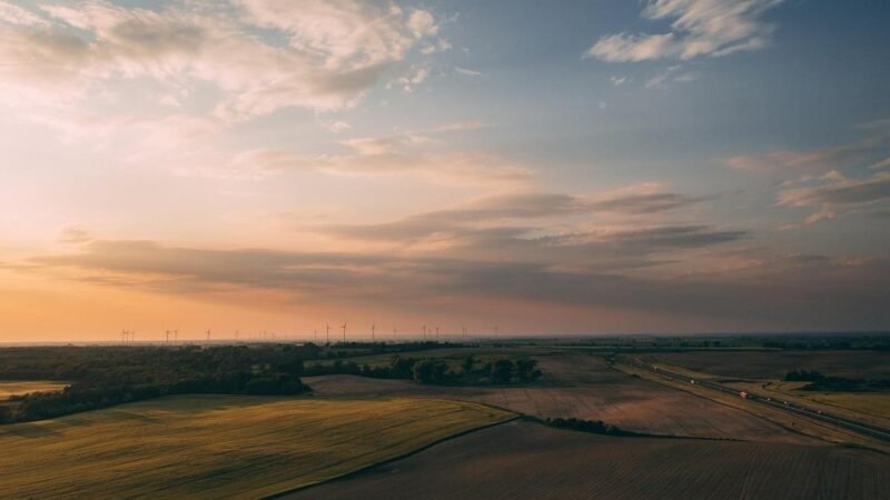 Coalizão cobra mais transparência em dados ambientais para evitar riscos financeiros e climáticos