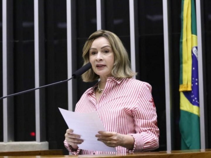 Comissão aprova projeto de incentivo à produção sustentável na Amazônia