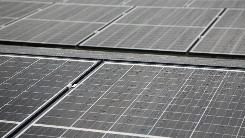 Echoenergia celebra avanço em ressarcimento após registrar cortes de 229 GWh no segundo trimestre