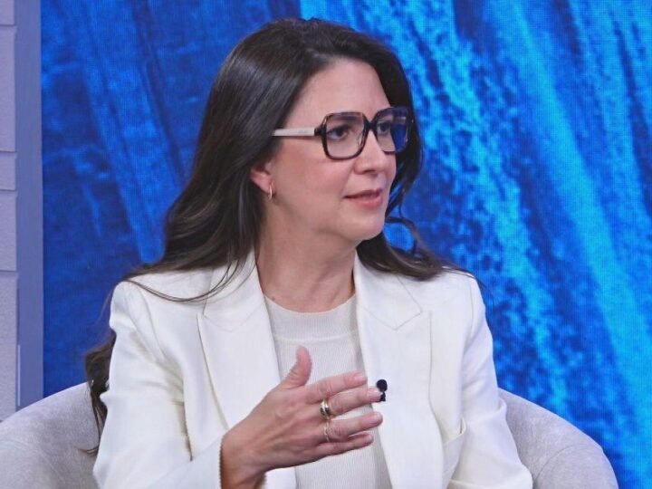 Elera destaca baterias como próximo grande investimento no Brasil para energia renovável