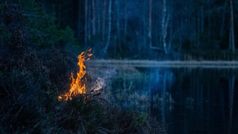 Governo lança regras para SAF, hidrogênio de baixa emissão e captura de carbono