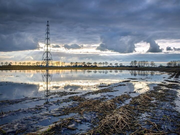 Guerra no Oriente Médio redireciona capital global para energia e petróleo do Brasil