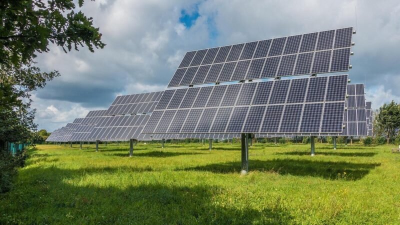 IBP abre reta final de inscrições para formação de profissionais negros no setor de energia