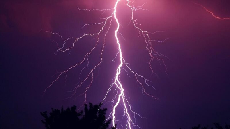 Insegurança com o futuro do negócio supera busca por desafios entre líderes de energia e serviços financeiros