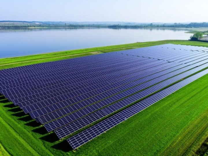 Ludfor projeta nova onda de migrações para o mercado livre de energia em 2026