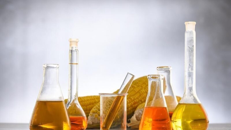 Múcio articula no TCU defesa da mistura de 32% de etanol na gasolina
