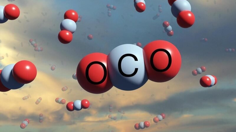 Novas regras do Artigo 6.4 elevam rigor ambiental e restringem emissão de créditos de carbono