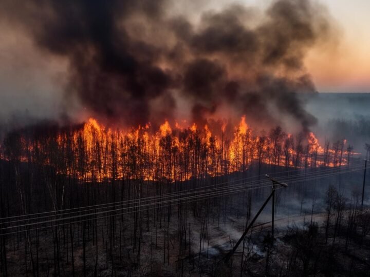 Queimadas fazem interrupções de energia dispararem mais de 240 por cento em cinco anos