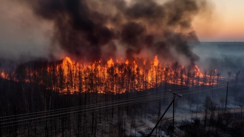 Queimadas fazem interrupções de energia dispararem mais de 240 por cento em cinco anos