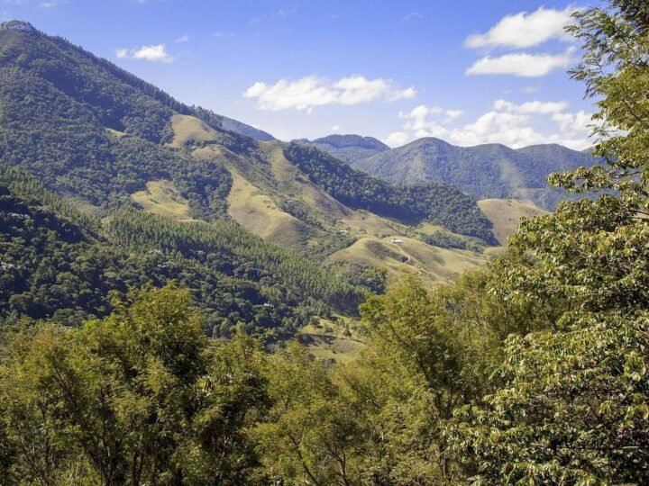 Senado autoriza empréstimo de US$ 100 milhões para projetos verdes em Minas