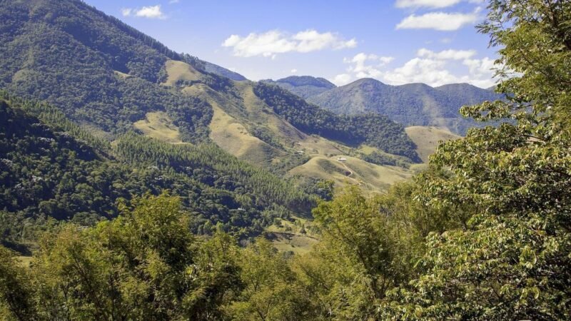 Senado autoriza empréstimo de US$ 100 milhões para projetos verdes em Minas