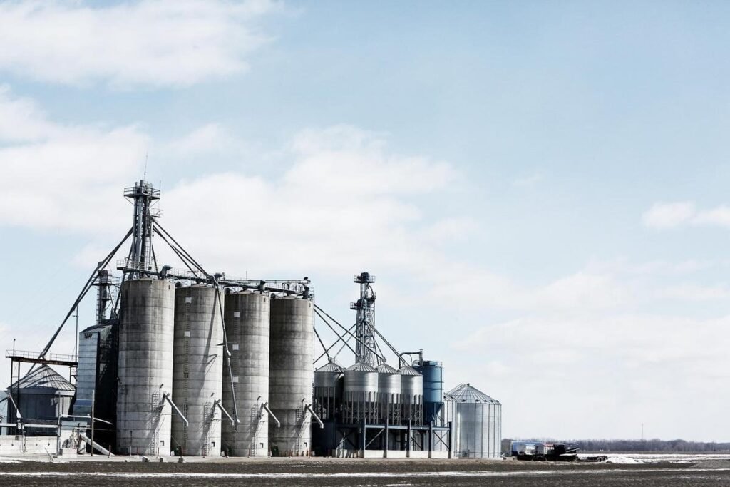 Senate approves Profert, with incentives for the fertilizer industry. Photo: Reproduction / Freepik | Pixbay