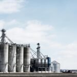 Senate approves Profert, with incentives for the fertilizer industry. Photo: Reproduction / Freepik | Pixbay