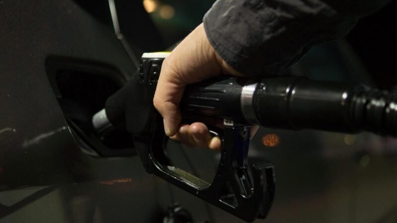 Senators and Representative Discuss Combating Fuel Fraud at Brasília Seminar