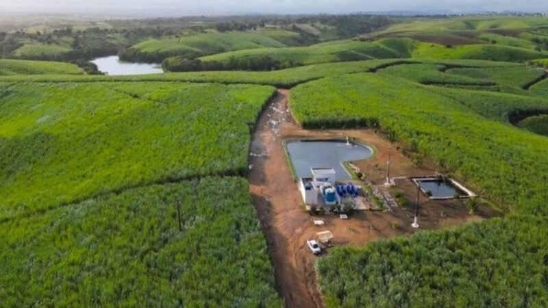 Usinas do Nordeste registram ganhos de até 92,8% na produtividade da cana com irrigação por gotejamento