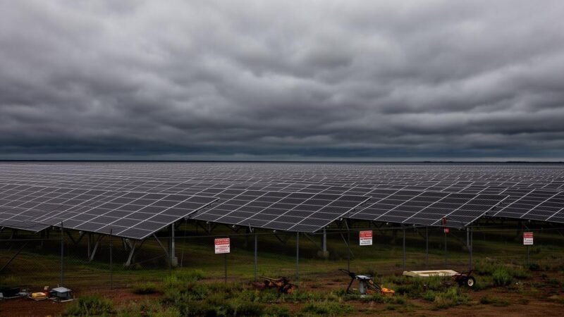 Ynova e Matrix unem forças para democratizar energia renovável no Brasil
