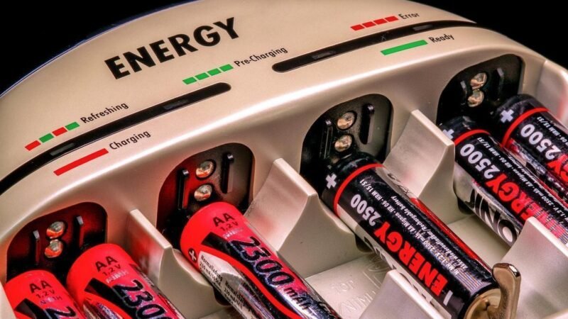Zoológico de Pomerode investe em tecnologia de armazenamento de energia para garantir operação contínua