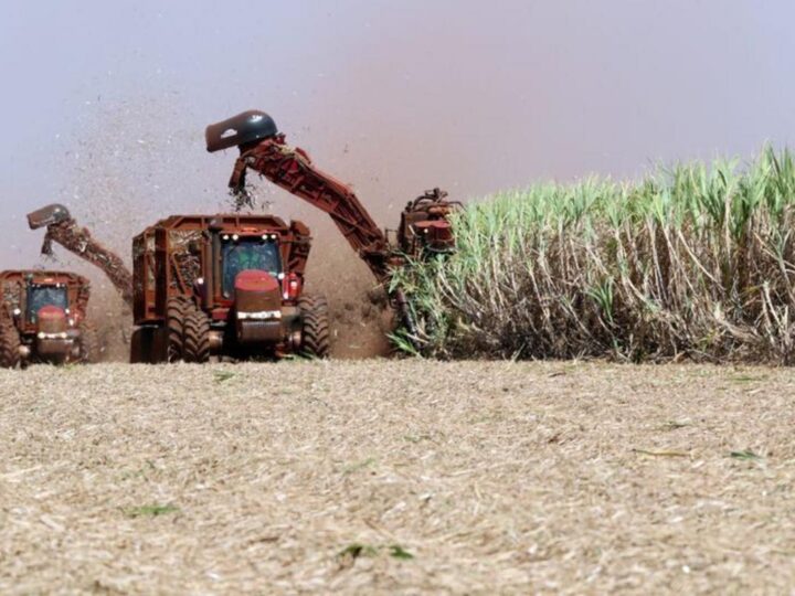 Cana de açúcar já abastece 15,8% da energia interna do Brasil